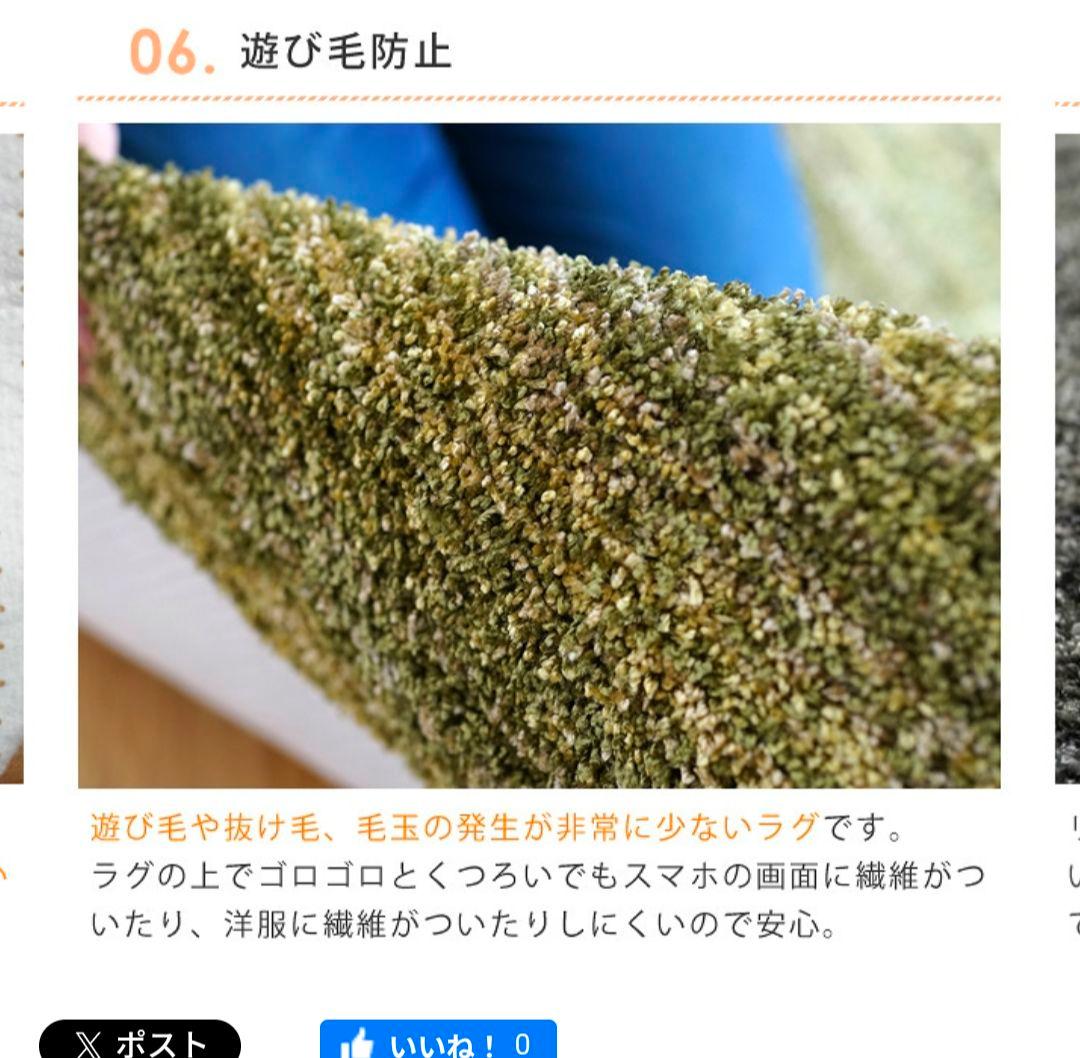 スミノエ ナイロンラグ リュストル 楕円形 140×200/防ダニ・防炎　高品質