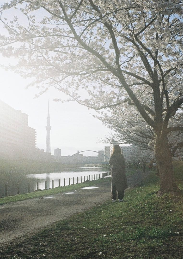 minolta repo ハーフカメラ　フィルムカメラ　オーバーホール済み