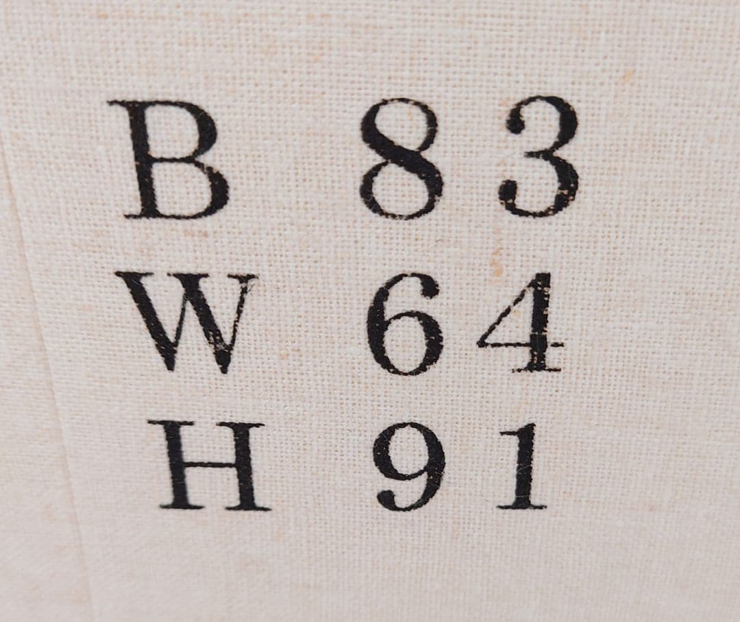 文化(BUNKA)トルソー マネキン B83 W64 H91