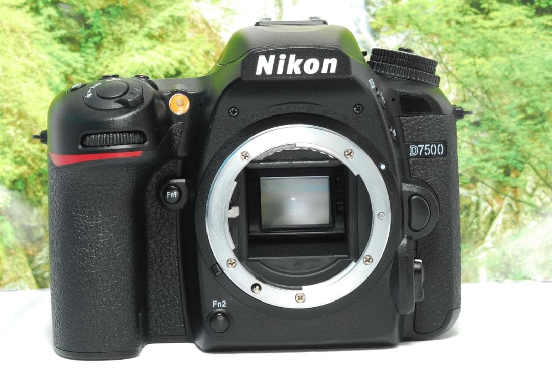 ✨ショット数約1200回✨Nikon D7500✨55-300㎜超望遠もセット✨