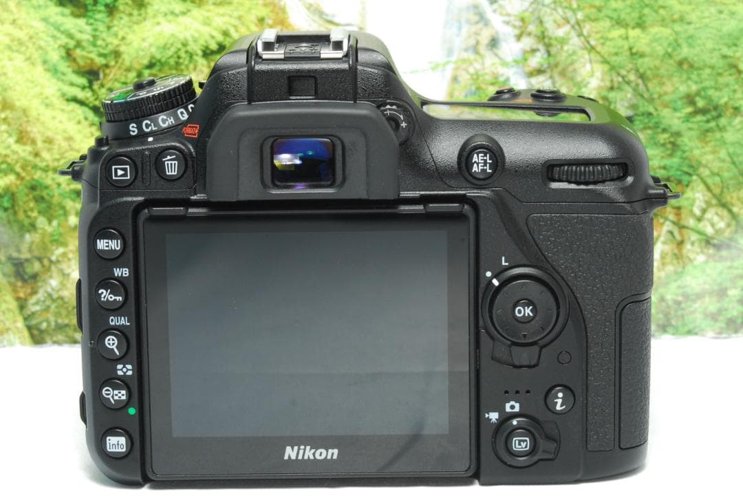 ✨ショット数約1200回✨Nikon D7500✨55-300㎜超望遠もセット✨