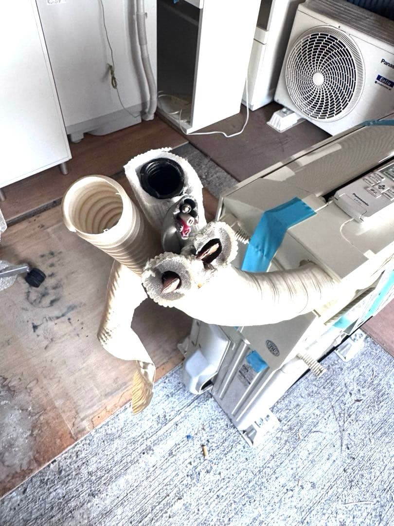 カジカジPanasonic エオリア CS-EX280D-W 10畳用