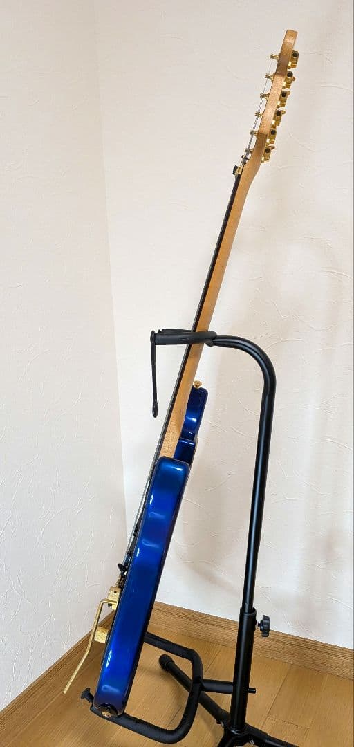 FERNANDES FST-55　SSH