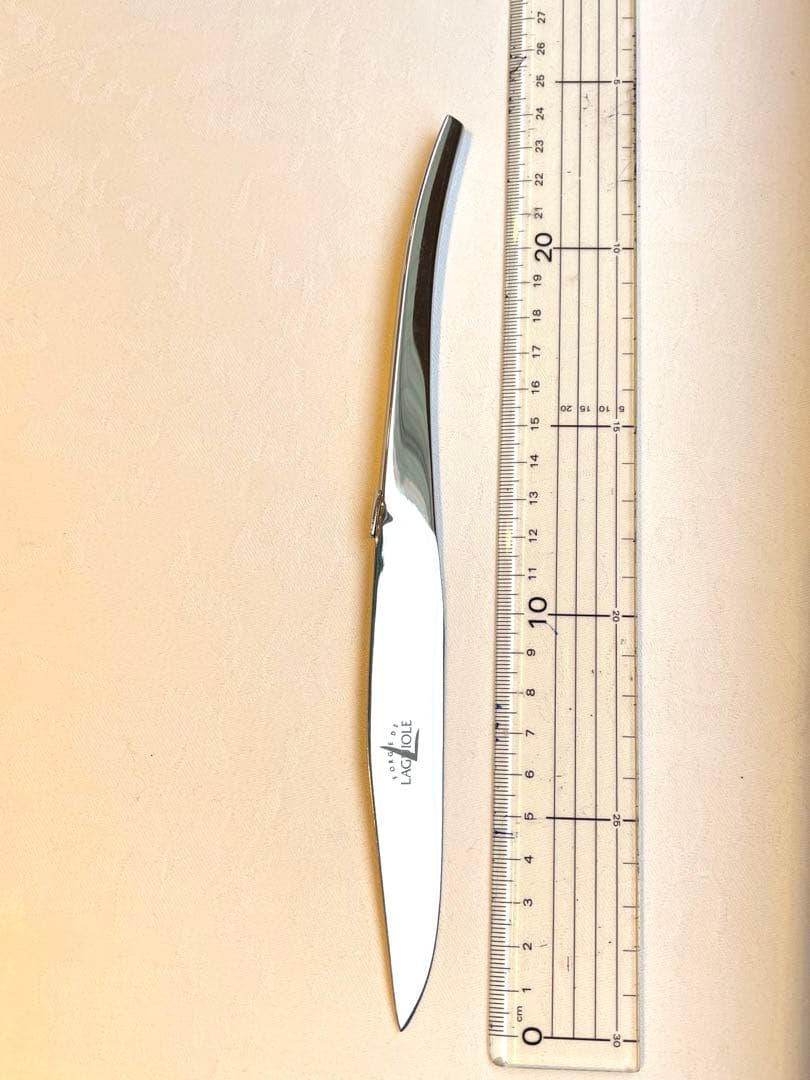 24本セット　Laguiole テーブルナイフ 約23.5cm