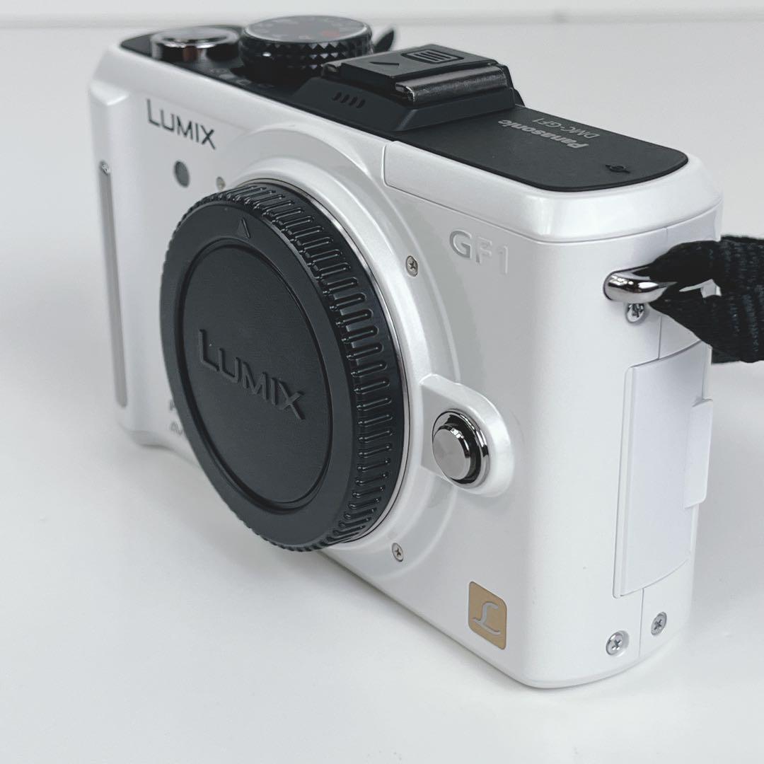 Panasonic DMC-GF1 ミラーレスカメラ本体 バッテリーチャージャ付