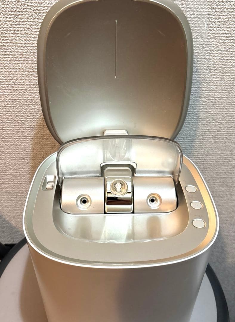 Panasonic EH-SA0B-N GOLD スチーマー