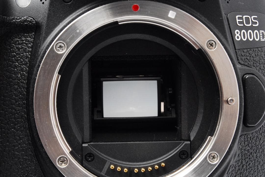 即購入1000円OFF❤️Canon EOS 8000D ダブルレンズWi-Fi