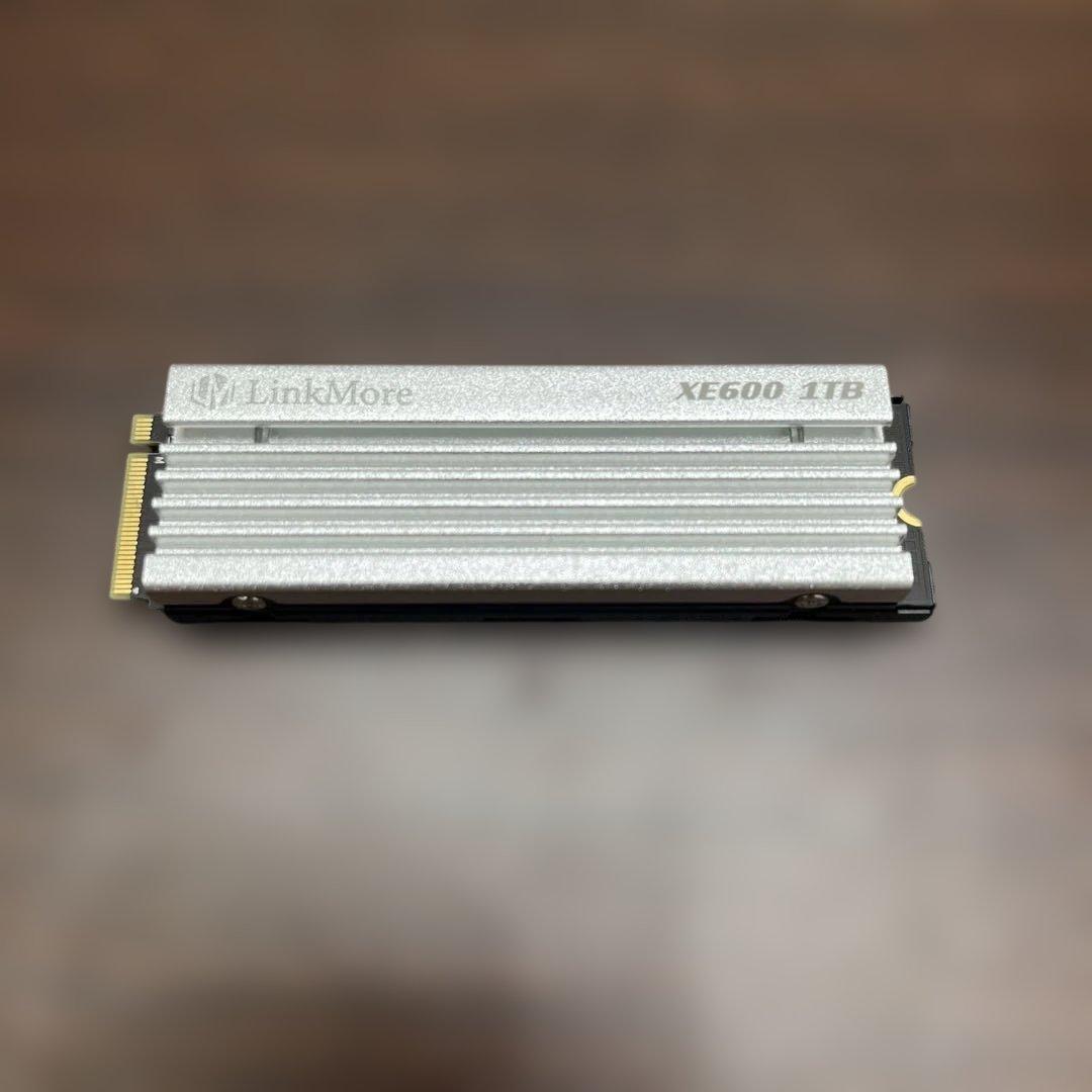 LinkMore XE600 1TB 内蔵型SSD