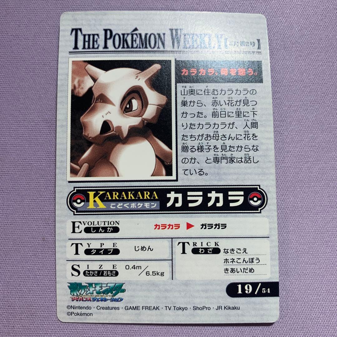 P7469 カラカラ ウィークリー カード NEWS No.19