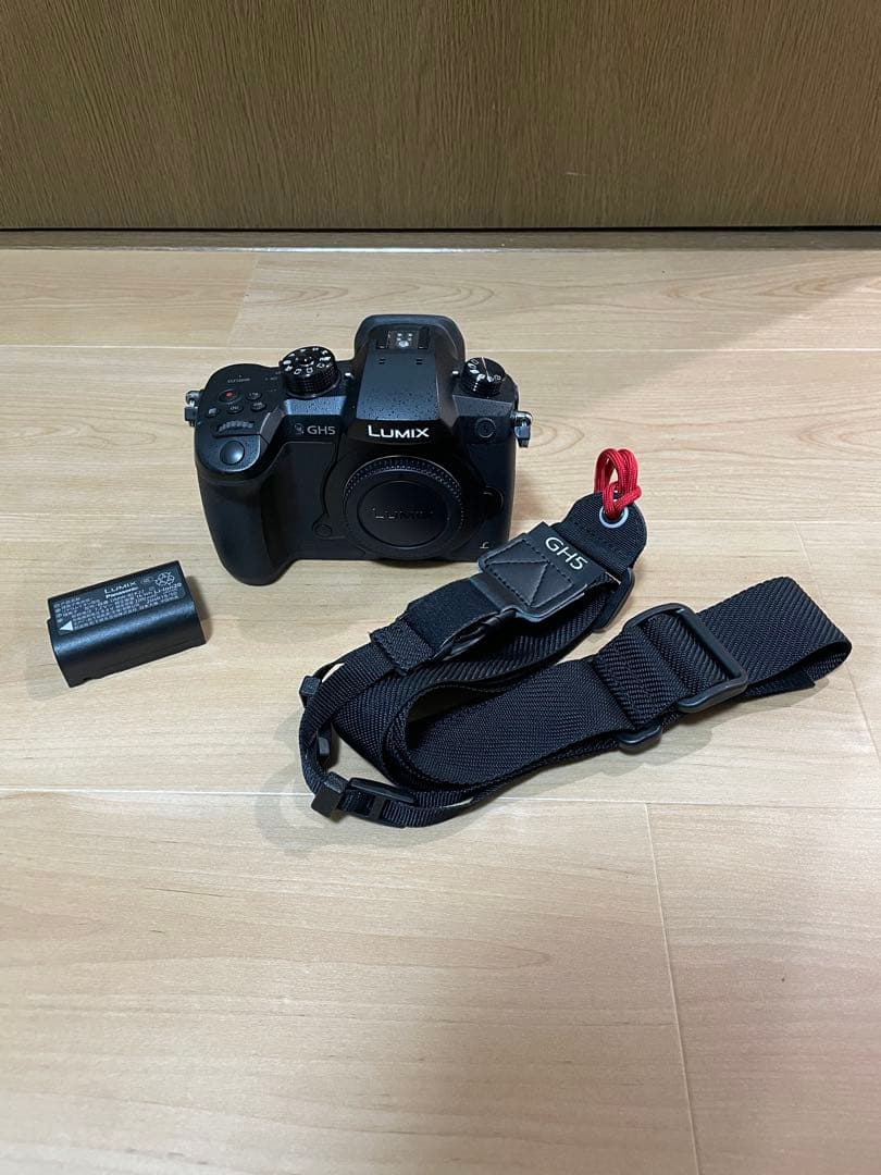PANASONIC LUMIX DC-GH5 ボディ デジタル一眼カメラ