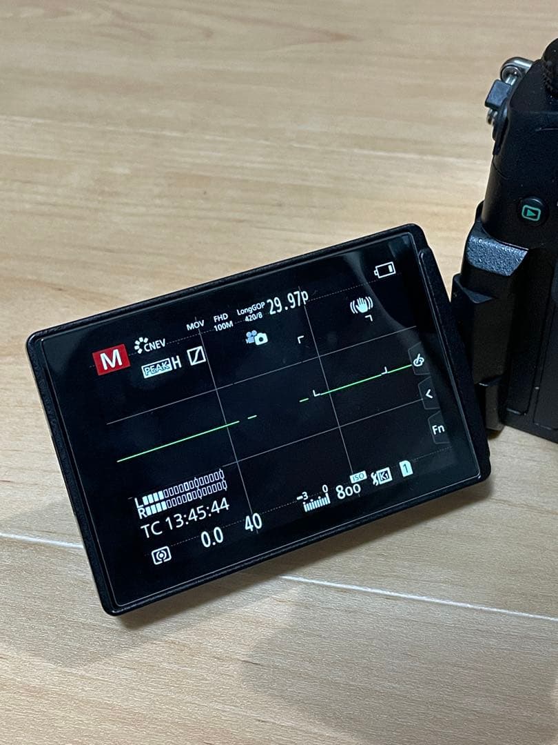 PANASONIC LUMIX DC-GH5 ボディ デジタル一眼カメラ