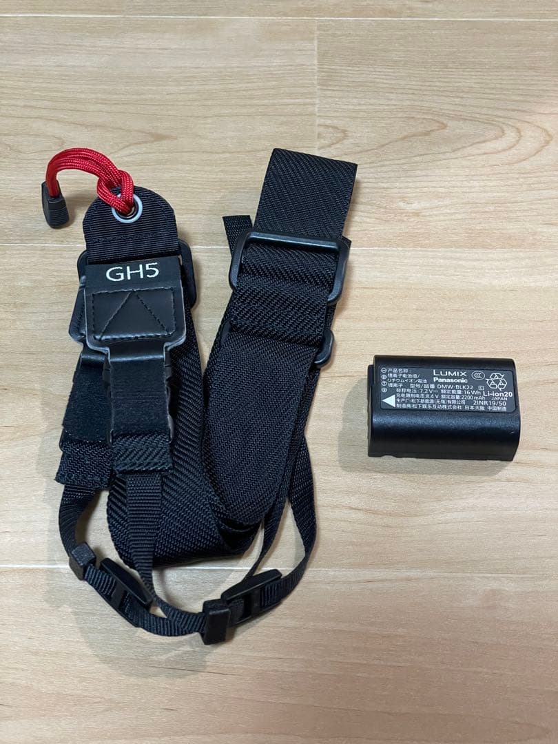 PANASONIC LUMIX DC-GH5 ボディ デジタル一眼カメラ