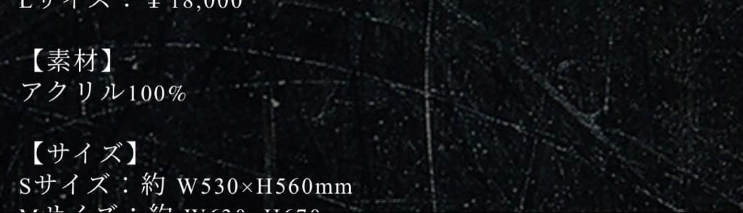 ONEOKROCK ラグマット 2025 DETOX ワンオク