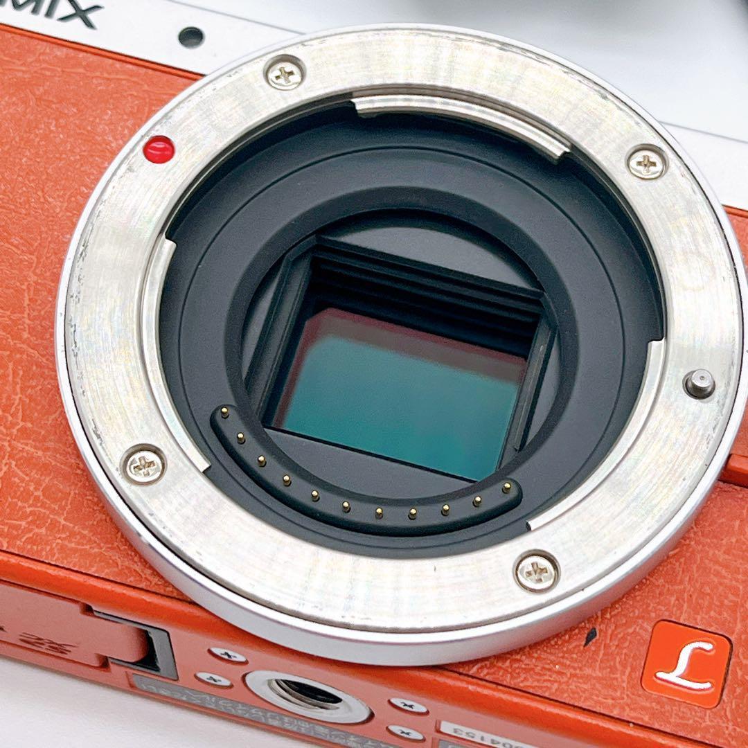【美品】Panasonic LUMIX DMC-GM1 ミラーレス一眼
