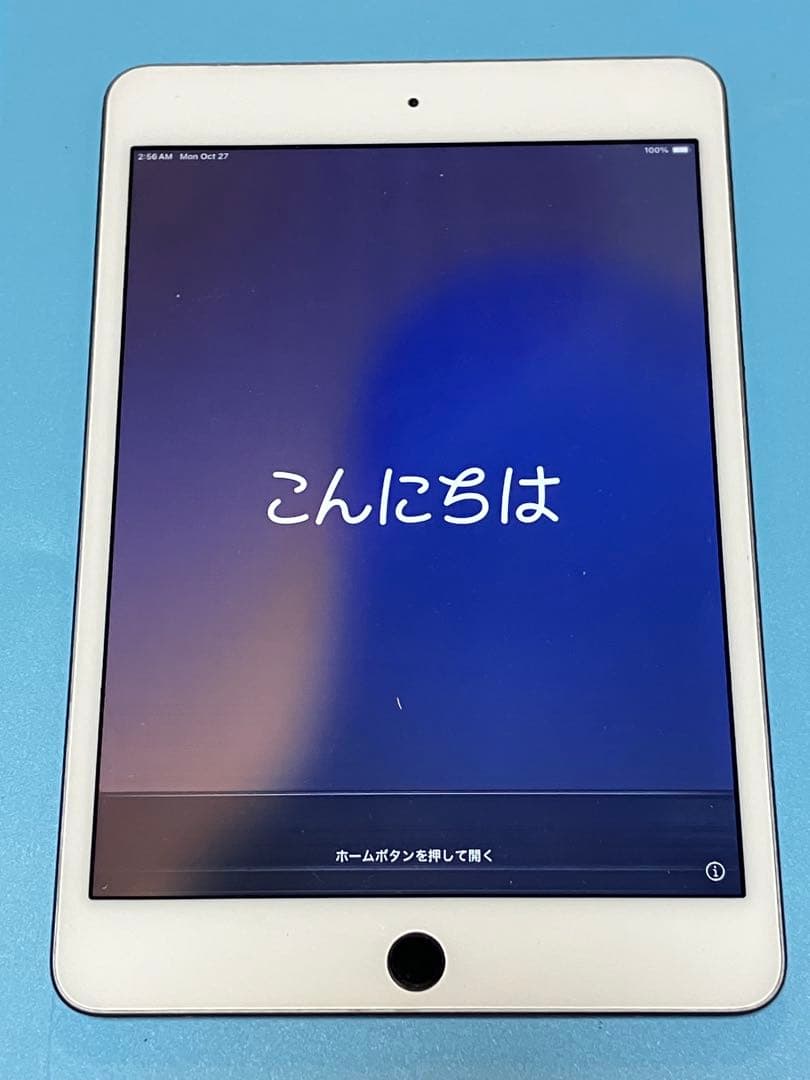 iPad mini5 256GB MUU32J/A A2133 ジャンク