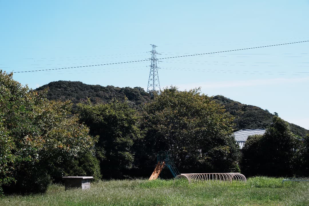 【整備＆テスト済】Canon FD 50mm F1.4 S.S.C 290