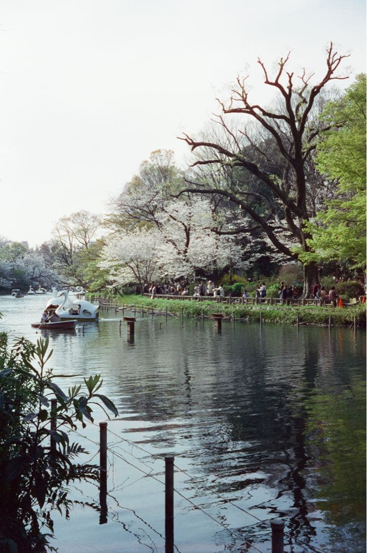 Rollei B35 ジャンク品