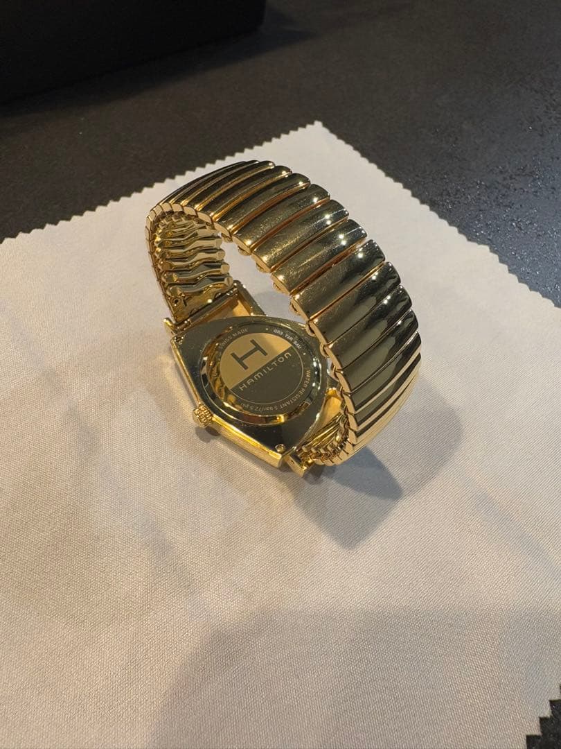 hamilton ventura ハミルトン　ベンチュラ