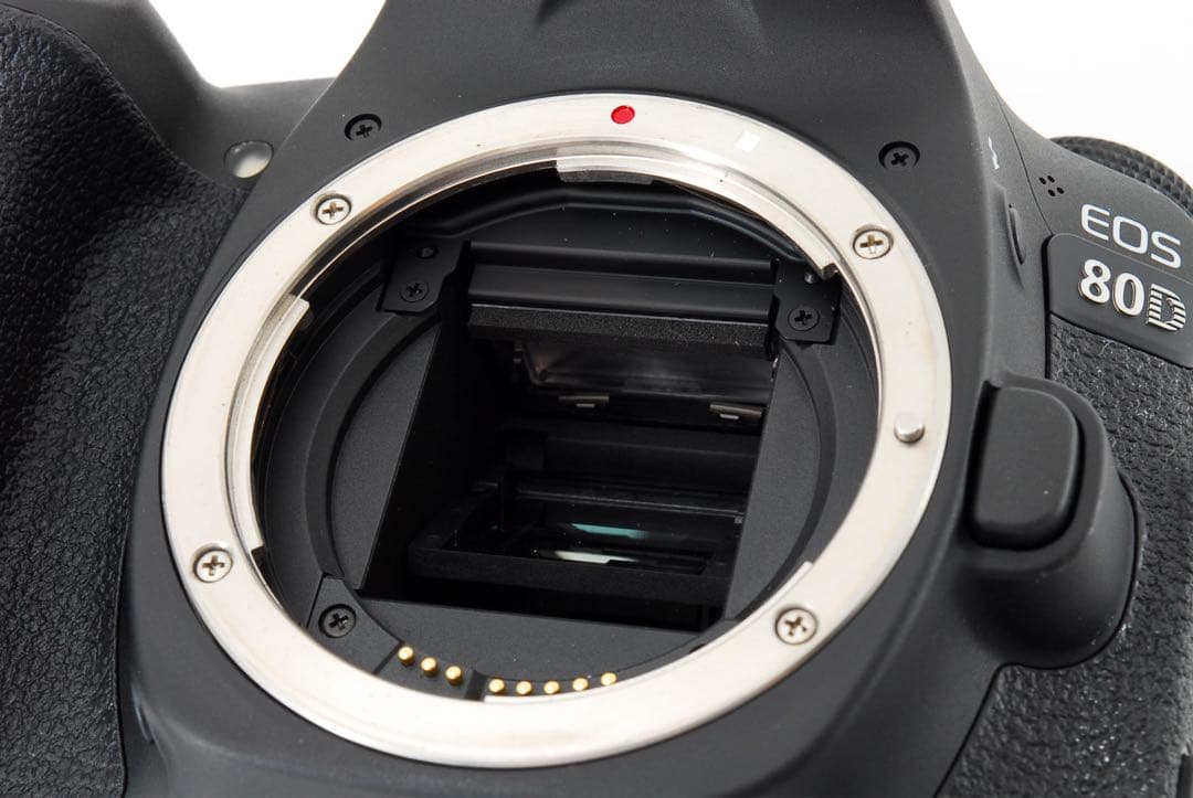 オススメ Canon EOS 80D標準&望遠ダブルレンズセット