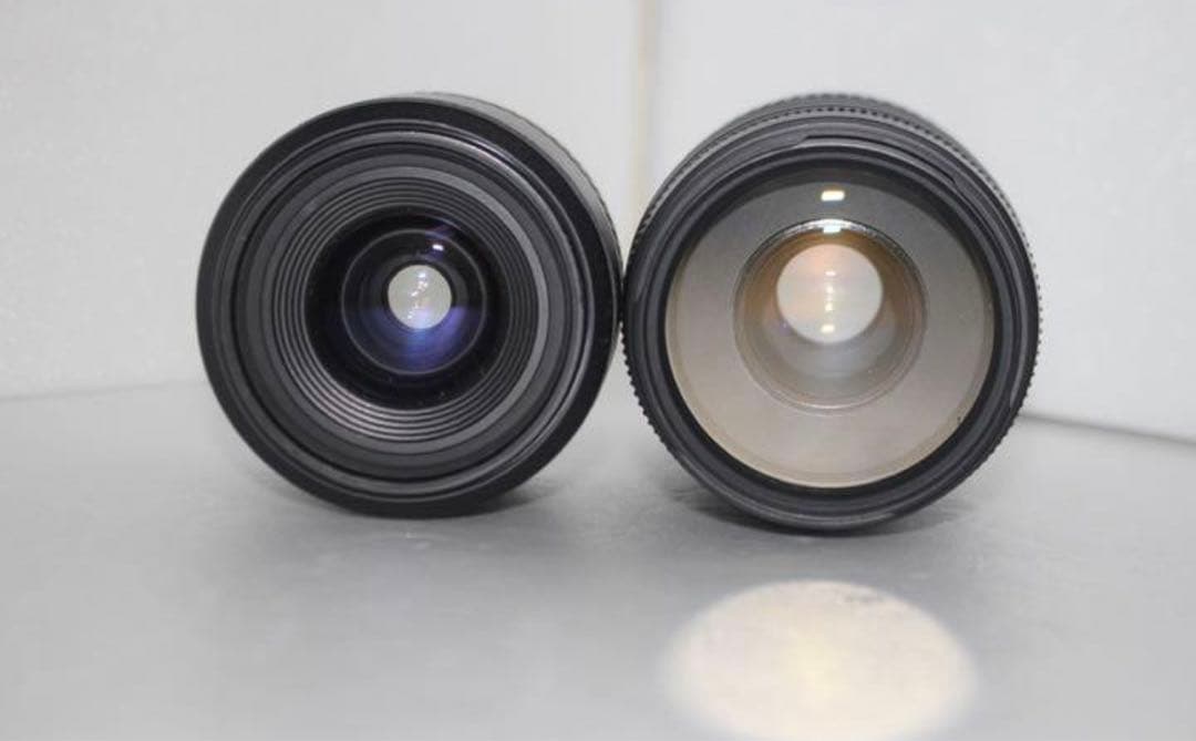 オススメ Canon EOS 80D標準&望遠ダブルレンズセット