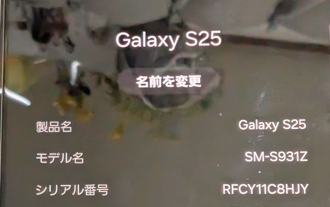 【国内版】Samsung Galaxy S25 12GB/256GB