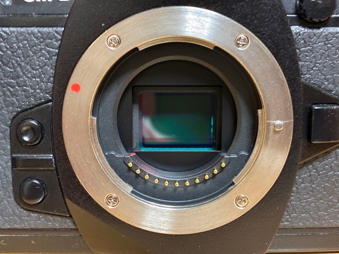 【美品】OLYMPUS OM-D E-M1ミラーレス一眼カメラ