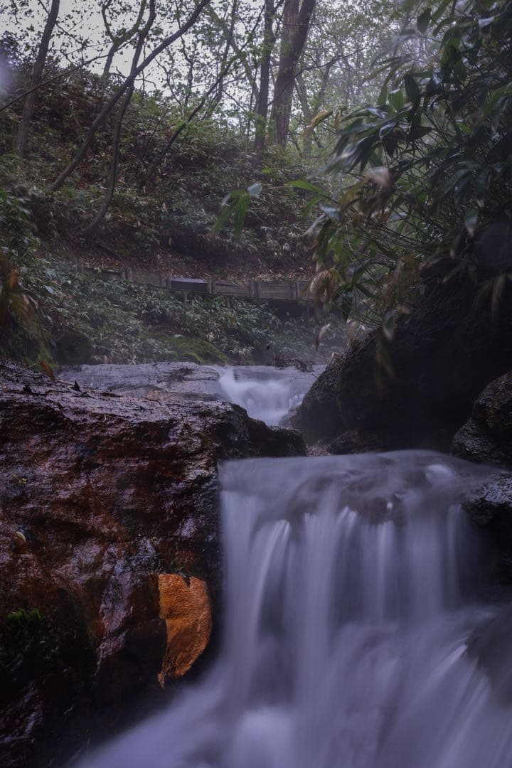 【正常動作品】RF 24-105 F4-7.1 IS STM