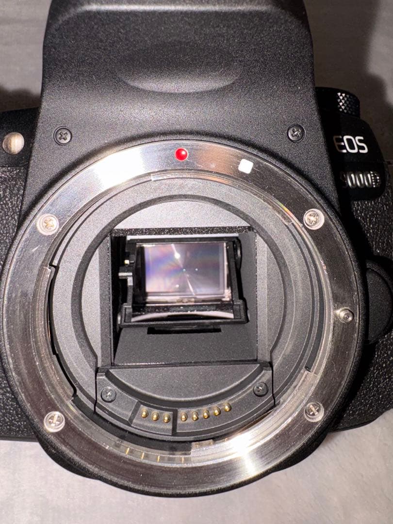 【 美品 】Canon EOS 9000D +単焦点レンズ