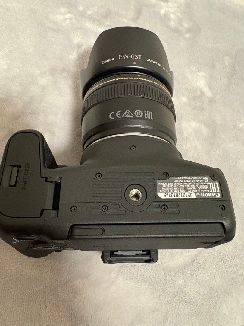 【 美品 】Canon EOS 9000D +単焦点レンズ