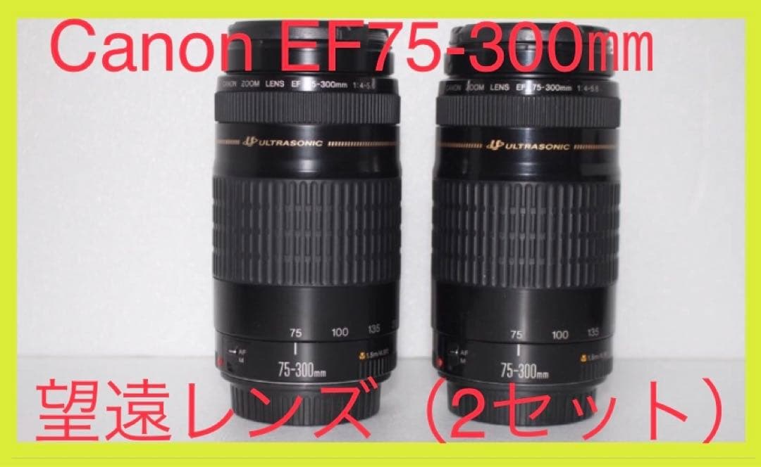 （2セット） 遠くも撮れる Canon EF75-300  F4-5.6 II