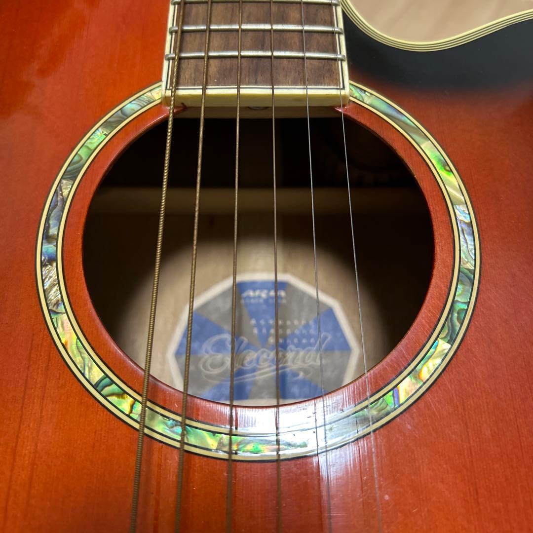 Aria エレクトリックアコースティックギター カバー、ピック付き