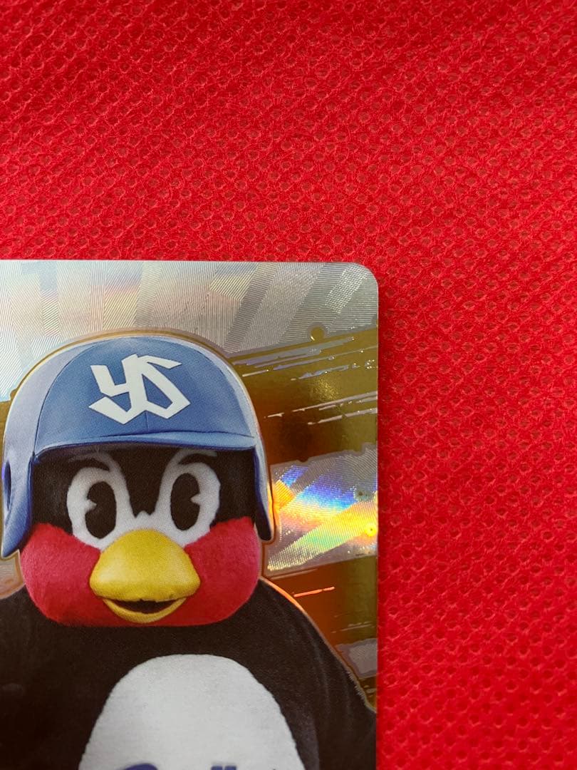 ドリームオーダー　夢の共燕　つば九郎　LG