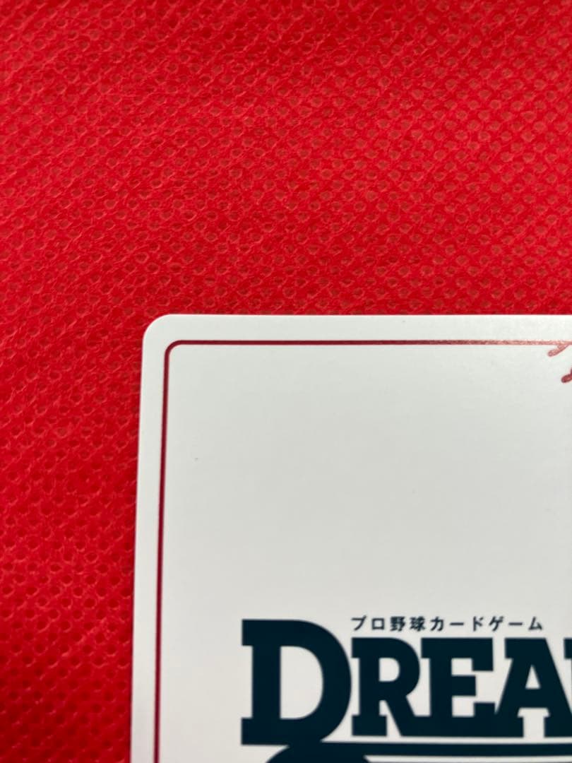 ドリームオーダー　夢の共燕　つば九郎　LG