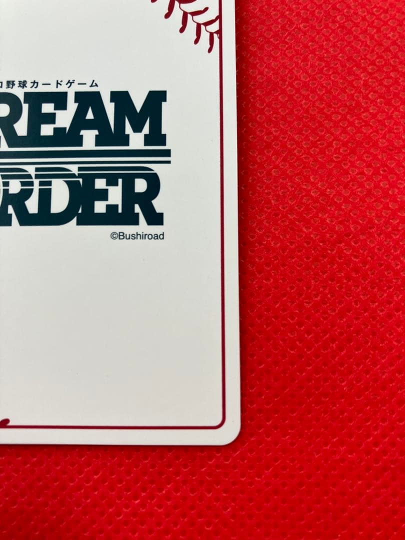 ドリームオーダー　夢の共燕　つば九郎　LG