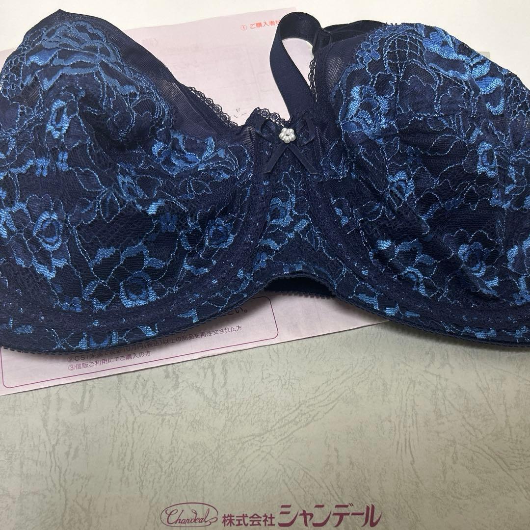 シャンデール　ブラジャーE70