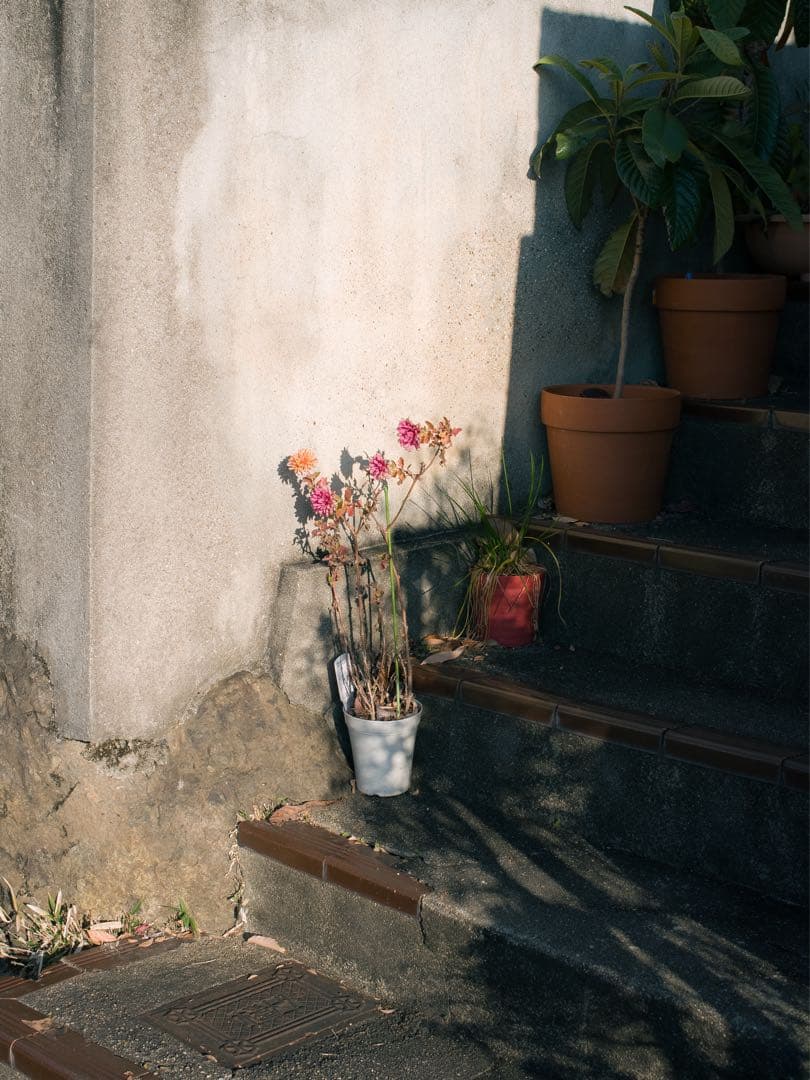 デジタルカメラ RICOH GR LENS A12 50mm F2.5 MACRO