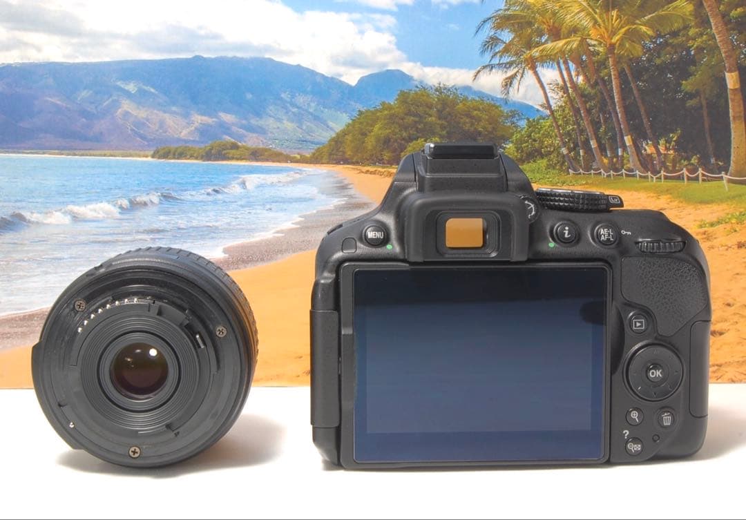 美品❤️Nikon D5300 ダブルレンズ 箱付き WiFi転送機能搭載 人気