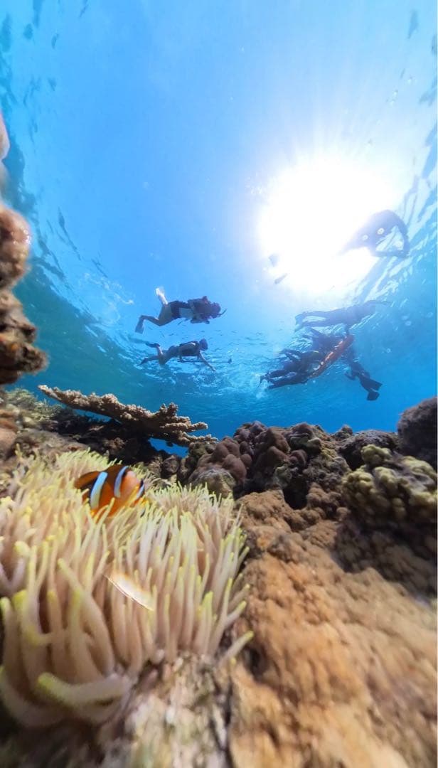 Insta X3 ⭐︎潜水ケース⭐︎