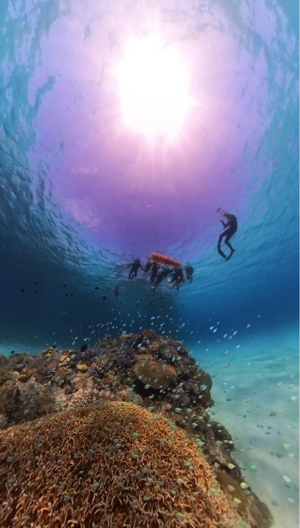 Insta X3 ⭐︎潜水ケース⭐︎