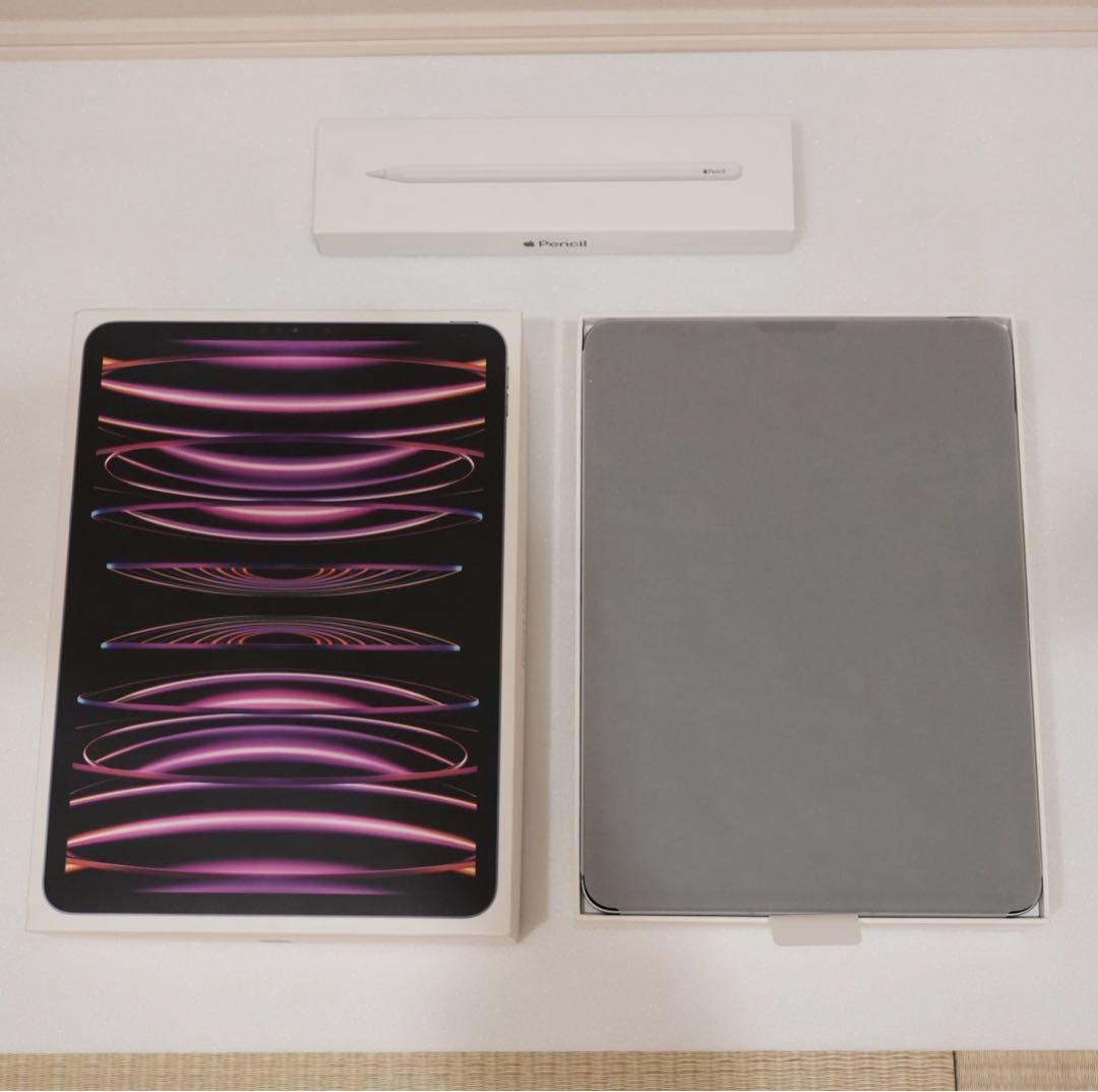 【美品】iPad Pro 11 第4世代 M2 128GB セルラー セット