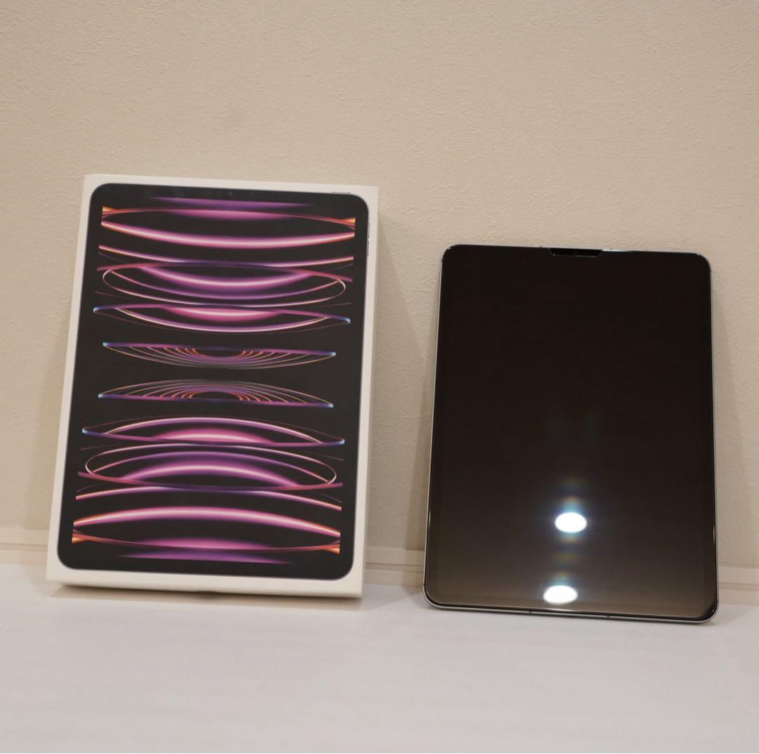 【美品】iPad Pro 11 第4世代 M2 128GB セルラー セット