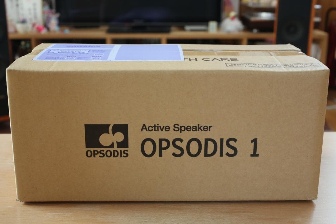 【未開梱】 OPSODIS 1 鹿島建設 立体音響 シルバー