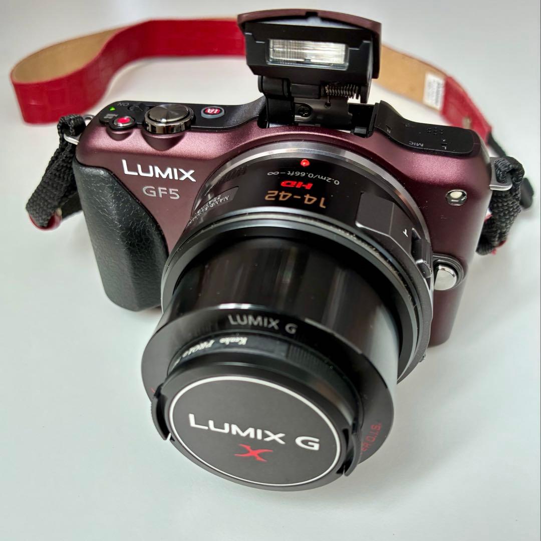 Panasonic DMC-GF5X ミラーレスカメラ　ブラウン　別売ケース付