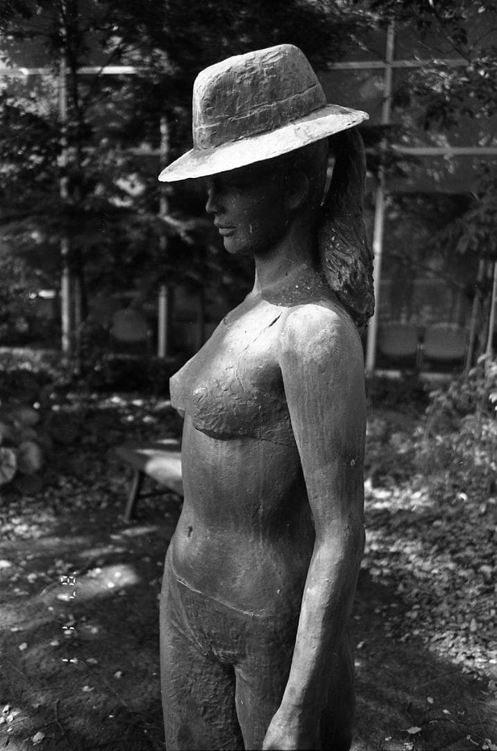 【完動品・美品】Konica BIG mini 301 LIMITED