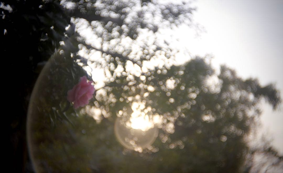 レンズ(単焦点) WOLLENSAK Cine-Velostigmat F1.5 1inch