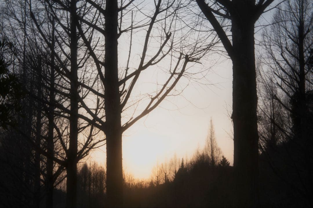 レンズ(単焦点) WOLLENSAK Cine-Velostigmat F1.5 1inch