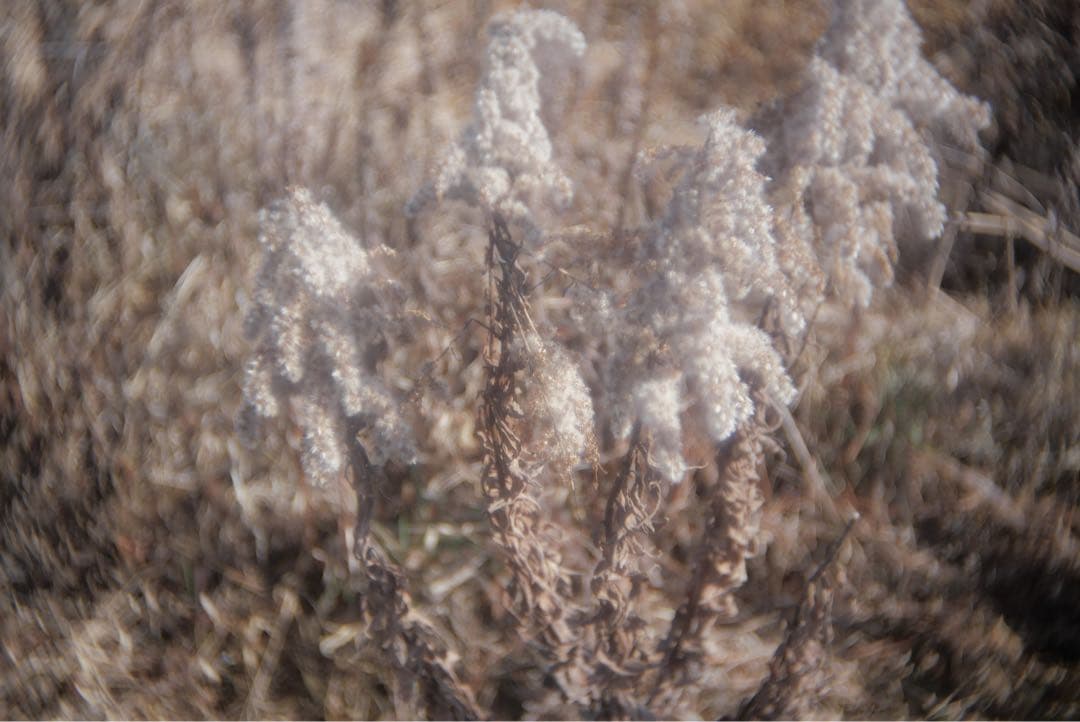 レンズ(単焦点) WOLLENSAK Cine-Velostigmat F1.5 1inch