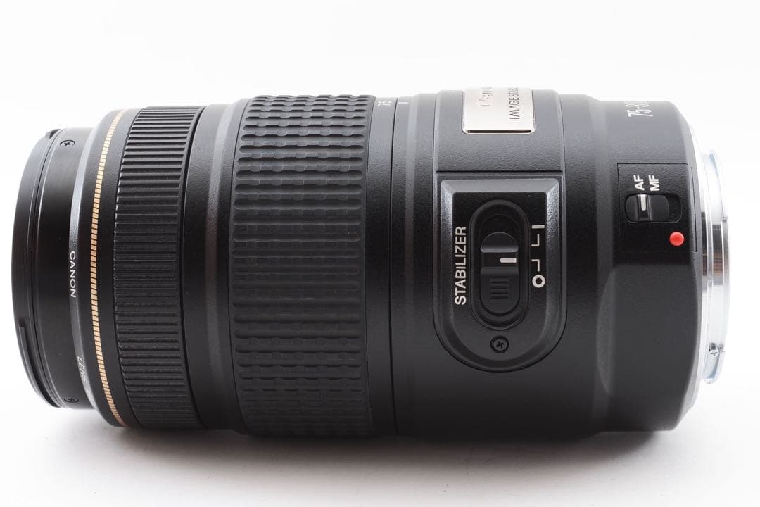 一眼レフCANON EF 75-300mm F4-5.6 IS USM
