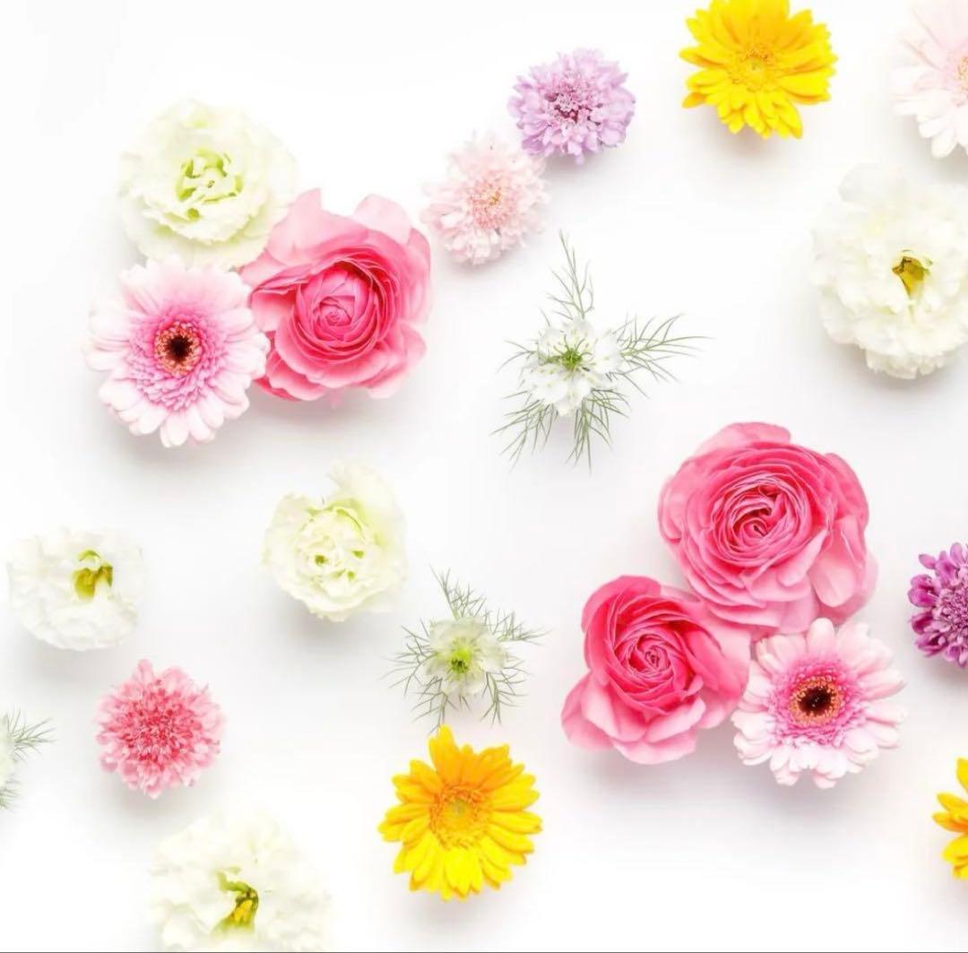 なつみ様 ナチュラルビューティーベーシック