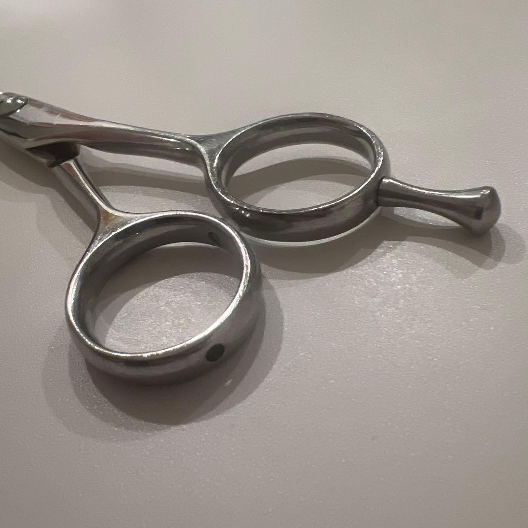 トラックスシザー　HARD6.0 PARM10 2本セット